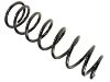 Muelle de chasis Coil Spring:48131-6A470