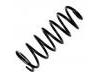 Fahrwerksfeder Coil Spring:48231-6A830