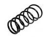 Coil Spring:55330-2F100