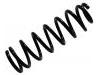 Coil Spring:48231-0F010