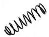 Coil Spring:48131-60190