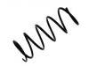 Fahrwerksfeder Coil Spring:48131-2P450