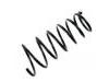 Fahrwerksfeder Coil Spring:48231-1H440